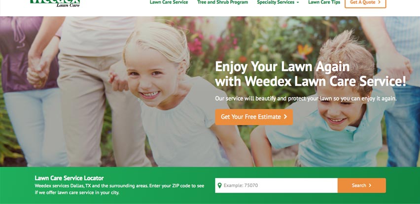 Weedex Lawn Care Web Design Project
